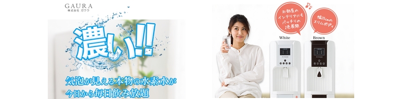 �ŋ��̉ƒ�p���f���T�[�o�[�u�f�`�t�q�`�v���T�C�g